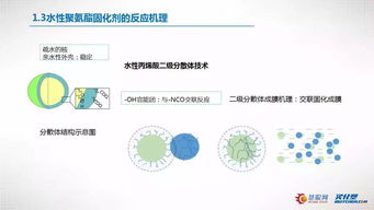 2018仕全兴首次网络在线直播 开创聚氨酯化工行业先河